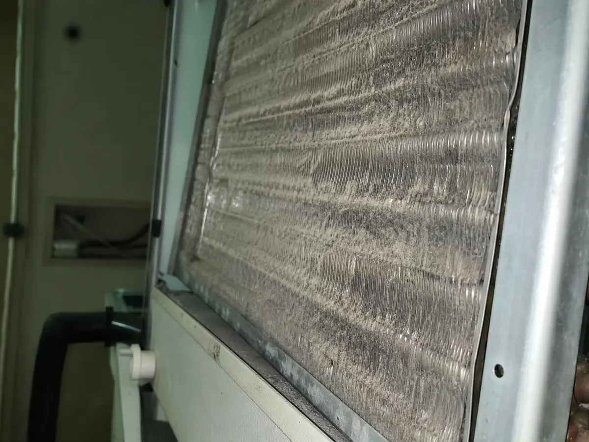 Coil Cleaning in Bodega Bay, CA