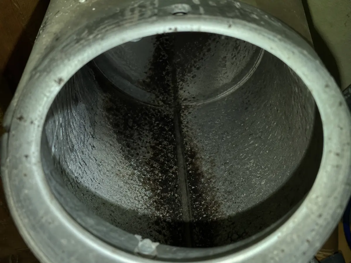 Air Duct Mold Removal in Bodega Bay, CA